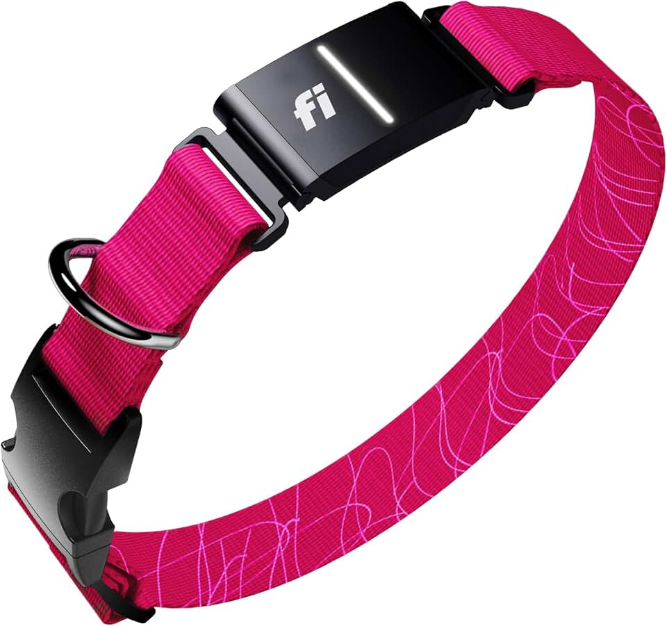 Fi Series 3+ Dog GPS Collar, Large Pink Dog Tracker, 12 Months Included | Live 24/7 location updates, escape alerts, activity and sleep insights, waterproof steel build, LED night light