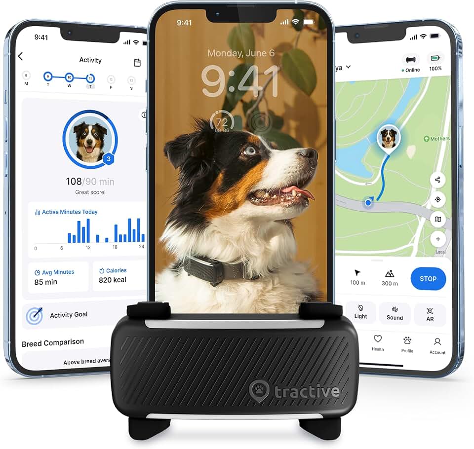 Tractive Smart Dog GPS Tracker | Live Pet Tracker with Virtual Fence | Vital Signs Monitoring of Heart &amp; Respiratory Rate | Bark Monitoring | Dog Collar Attachment (Black) GreenCircle Certified: Certified Energy Savings