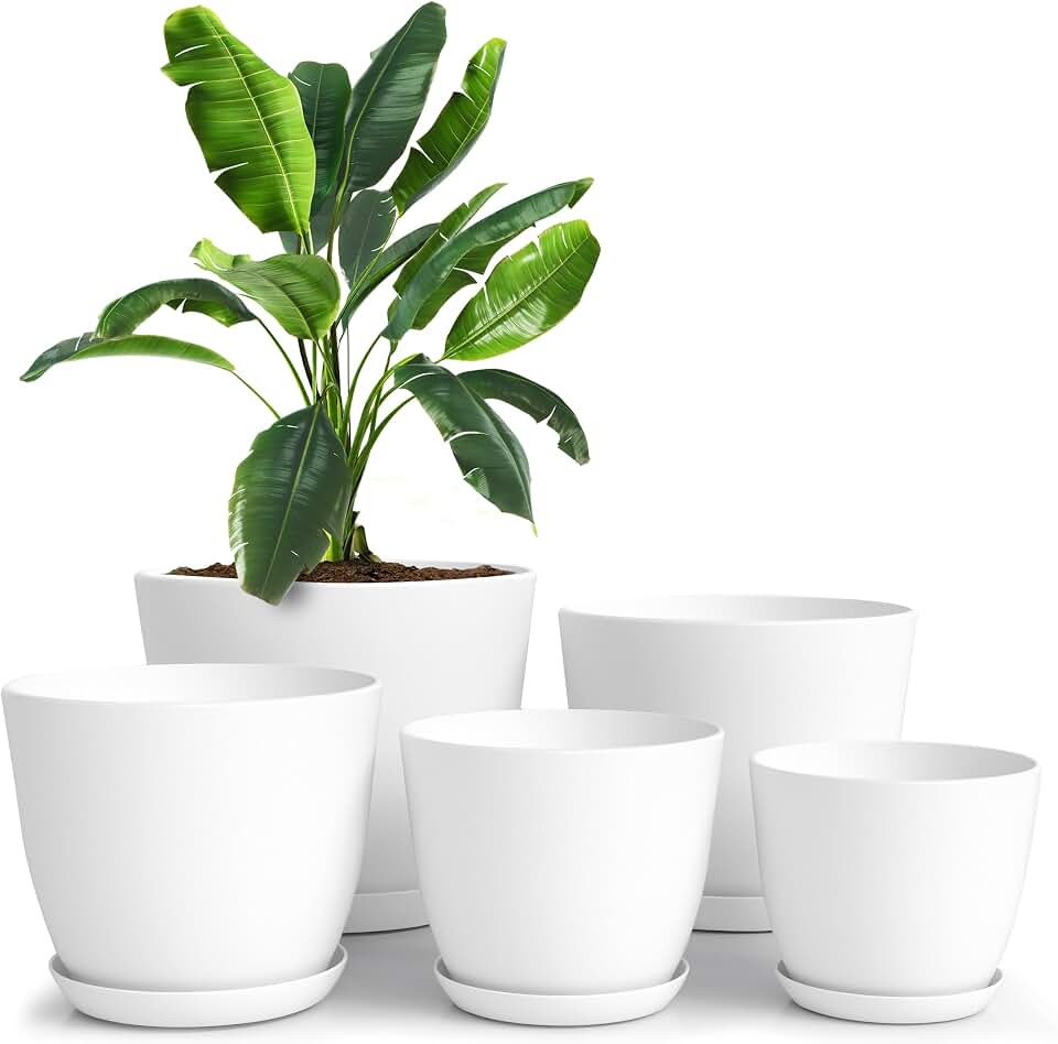 Plant Pots Indoor with Drainage, 5 Pack Multi-Size Planters Set, White | Drainage holes included Multiple sizes 7/6.6/6/5.3/4.8 In Indoor plants and flowers Sturdy plastic construction