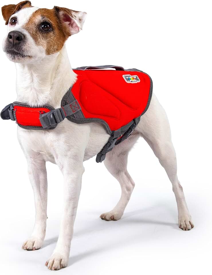 Outward Hound Dawson Swim Dog Life Jacket, Life Vest, Red, Small | High Buoyancy, Insulating, Adjustable Fit, Rescue Handle, Reflective, Swimming &amp; Boating, Small Dogs &amp; Puppies (16–20" Girth)