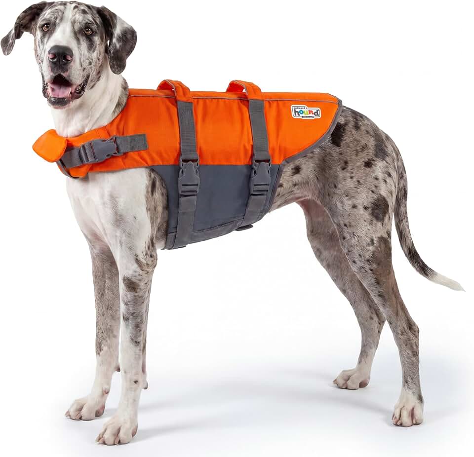 Outward Hound Granby Splash Dog Life Jacket, Life Vest, Orange, XL | Max Buoyancy, Adjustable Fit, Head/Neck Support, Rescue Handle, Reflective, Swimming &amp; Boating, XL Dogs (33–44" Girth)