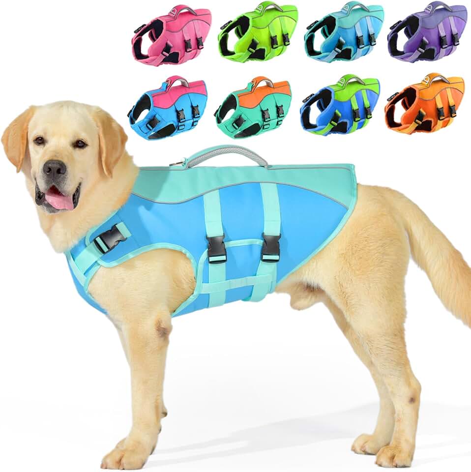 PETDSH Dog Life Jacket Medium, High Flotation Dog Life Vest for Swimming Boating, Reflective Puppy Lifejacket with Superior Buoyancy and Rescue Handle, Adjustable Safety Dogs Floating Vests