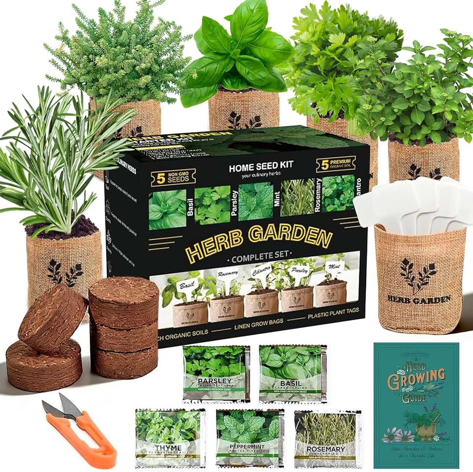 Meekear 5 Herb Indoor Starter Kit, Complete Planting Set for Kitchen Herb Garden DIY &amp; Gift