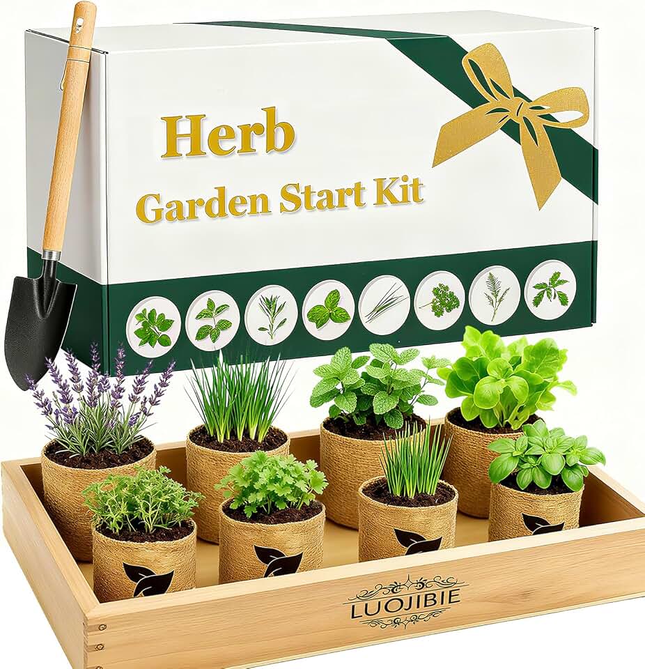Indoor Herb Garden Start Kit - Unique Gifts for Women, Mothers Day Gifts, Easy House Plant- Birthday for Women,House Warming Gift New Home- Fresh Herb Garden DIY Crafts for Adults