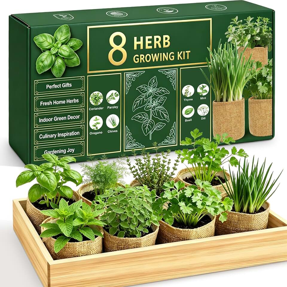 Indoor Herb Garden Kit, Culinary Herb Starter Kit with Seeds &amp; Tools for Beginners, Kitchen Decor, House Warming Gifts for New Home, for Christmas, Ultimate Birthday Gifts for Women Men Mom Dad
