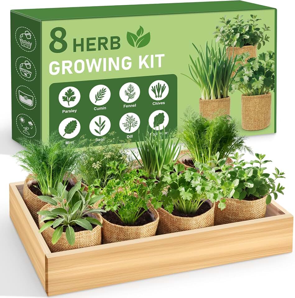 LUOJIBIE Indoor Herb Garden Kit, Complete Herb Starter Growing Kit with Seeds &amp; Tools, Christmas Birthday Gifts for Women Men Mom Dad, House Warming New Home Kitchen Gifts for Girls Boys Plant Lovers