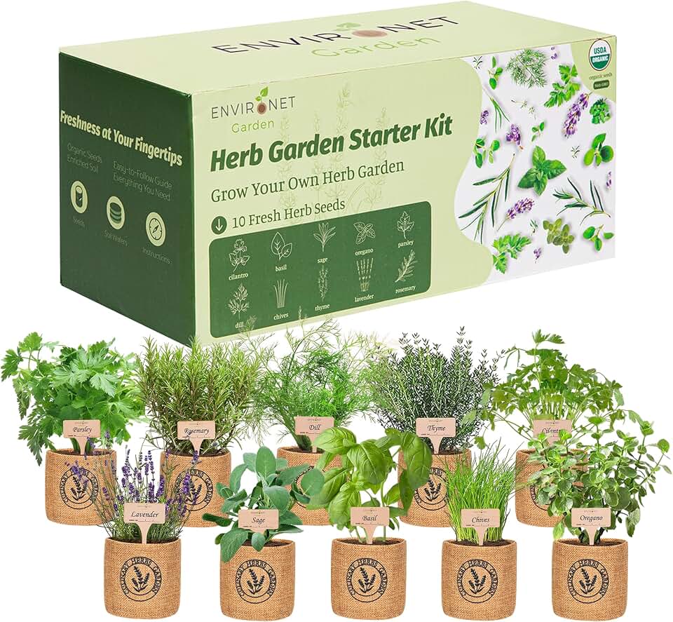 10 Indoor Herb Garden Kit- Burlap Pots, Organic Seeds, Herb Garden Planter Indoor Kit, Easy Window &amp; Kitchen Herbs Growing Kit, Cilantro, Basil, Sage, Oregano, Parsley, Dill, Chives etc. USDA Organic