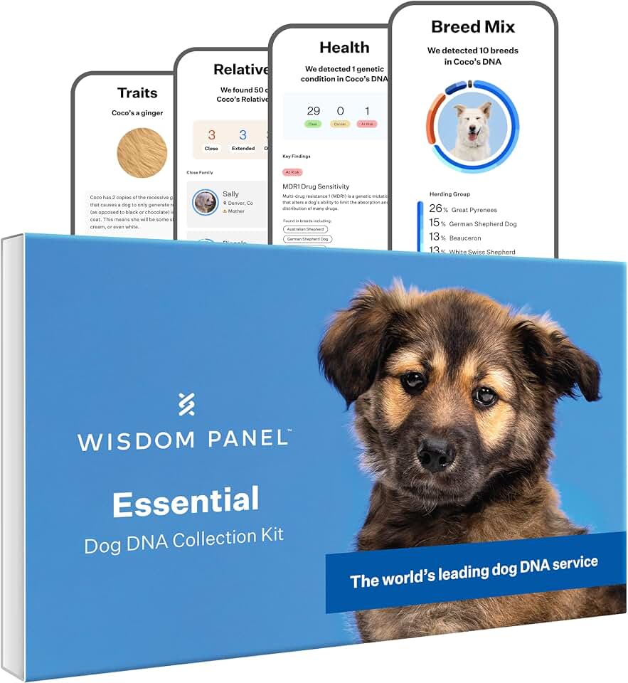 Wisdom Panel Essential Dog DNA Testing Kit - Most Accurate Test for 430+ Dog Breeds, 30 Genetic Health Conditions, 50+ Traits, Relatives, Ancestry, 1 Pack