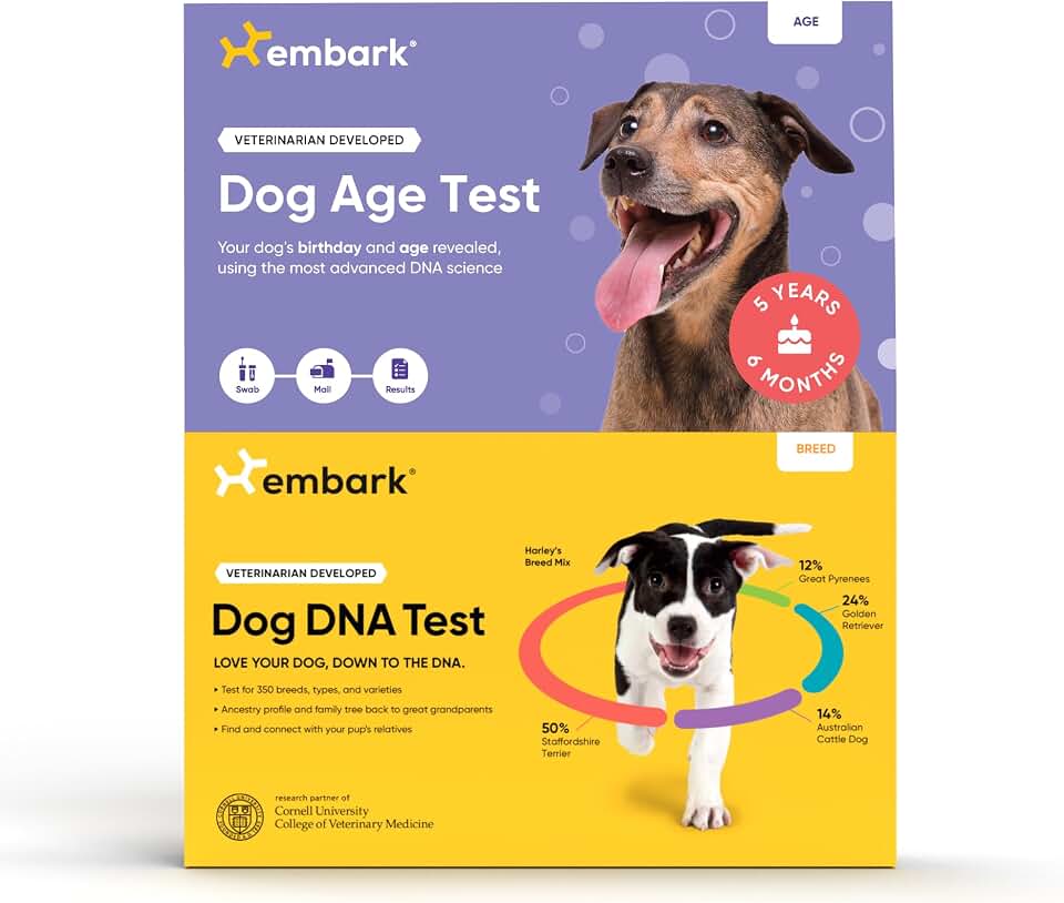 Embark Breed Identification Dog DNA Test &amp; Dog Age Test Bundle - Discover Breed, Ancestry, Relatives, and Birthday