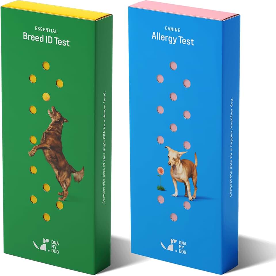 DNA MY DOG – Ultimate Health &amp; Breed Bundle | Canine Allergy Test (120+ Allergens) &amp; Breed ID Test (350+ Breeds) | Non-Invasive Cheek Swab, Fast Results, Detailed Reports &amp; Personalized Tips